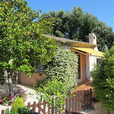 Studio Chez Charles Et Marie, Independant De La Maison, Acces Piscine, Tres Calme, Roquefort Les Pins Exterior foto